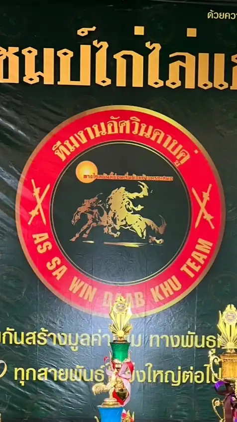 ไก่ไล่แข็งอัศวินดาบคู่สังกัดสนามประลองไก่DDอนันตชัยลาดหลุมแก้ว