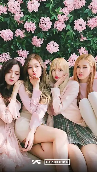 BLACKPINK BLINKS