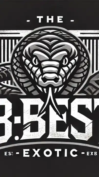 The B.best Exotic New!!