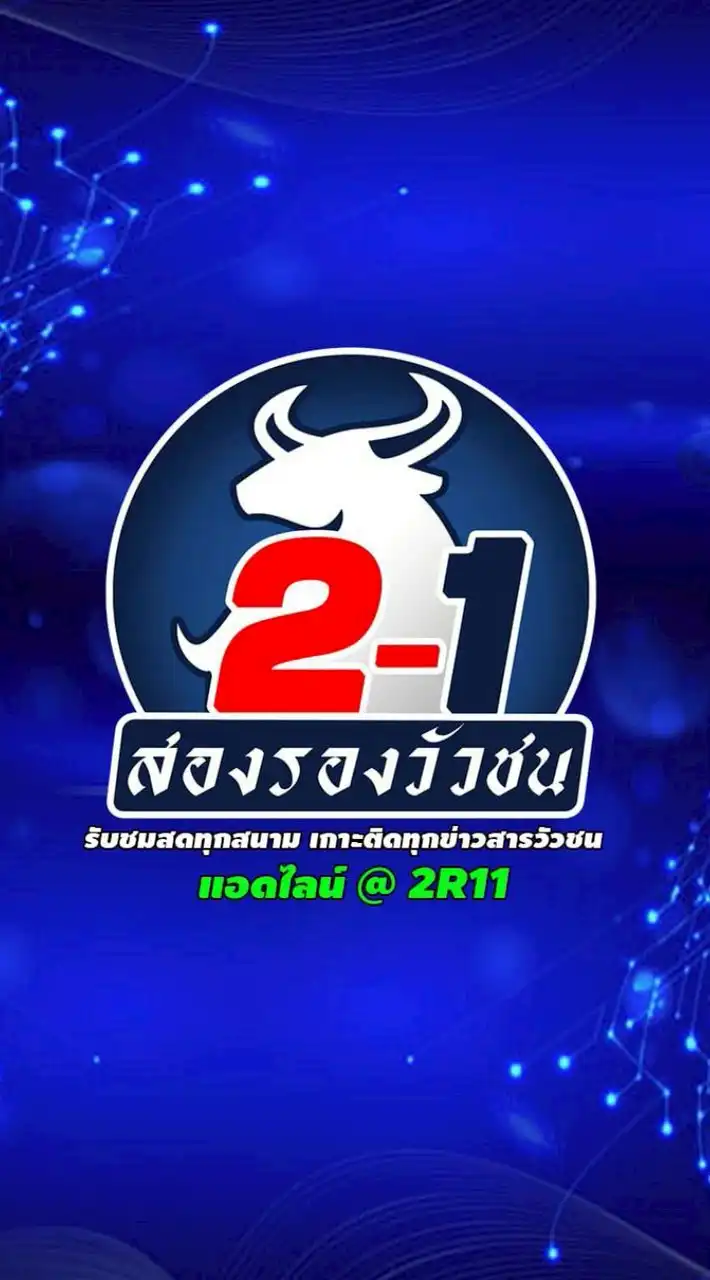 สองรองวัวชน