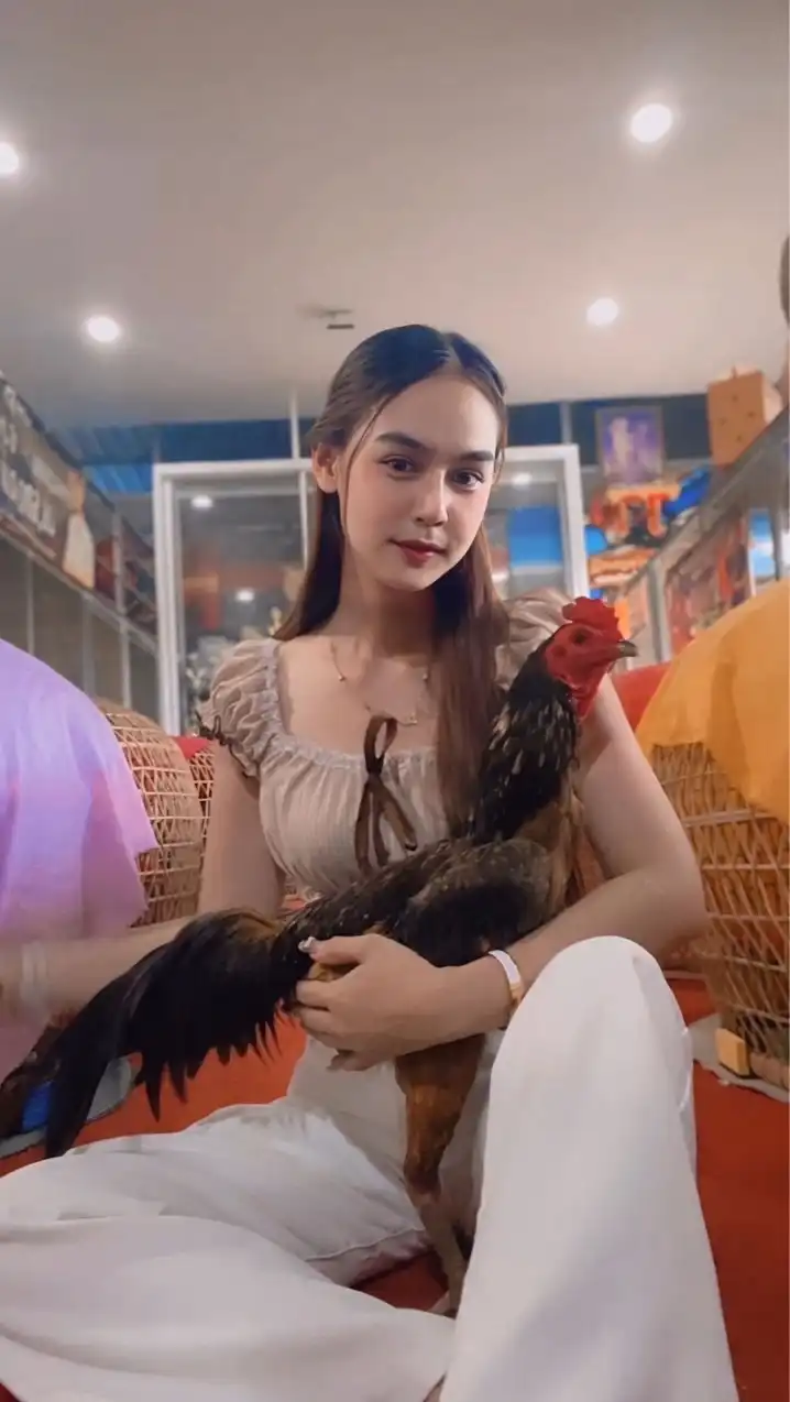 บ้านฟ้าไก่ชน ฟาร์ม