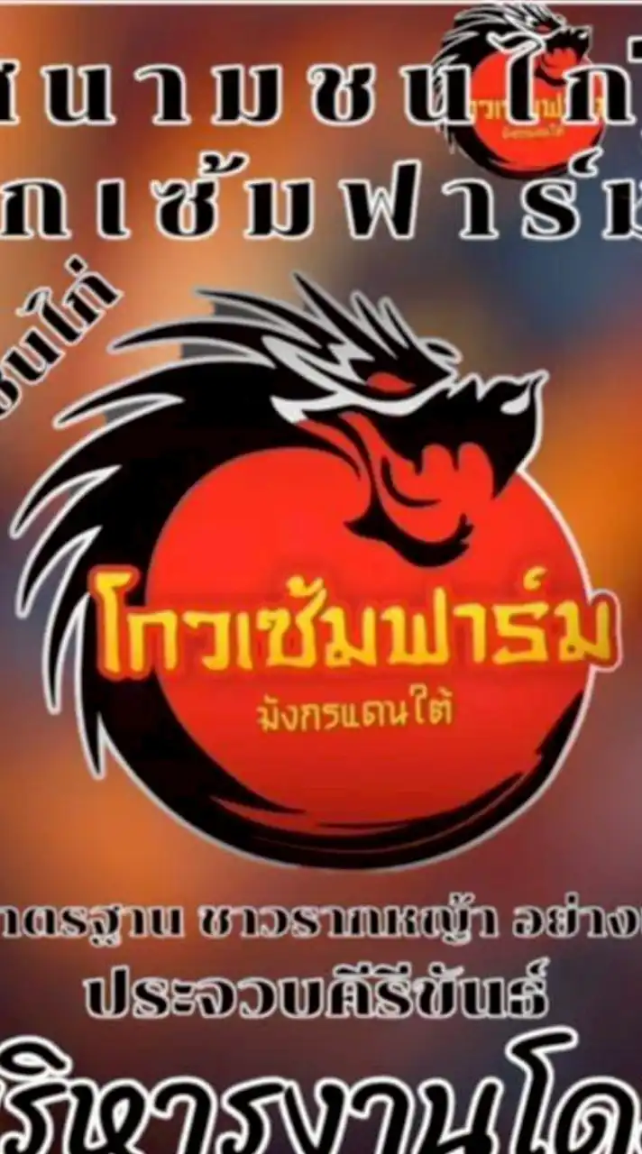 สนามกีฬาไก่ชนโกวเซ้มฟาร์ม🐉