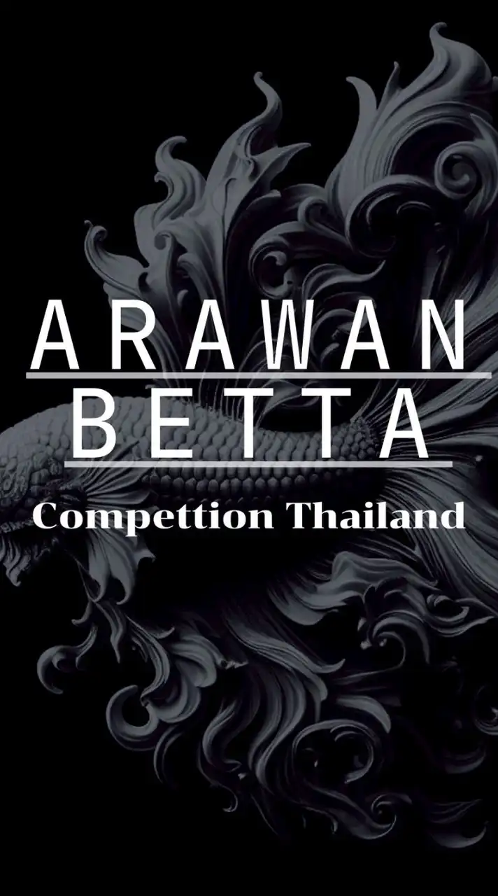 Arawan Betta Thailand