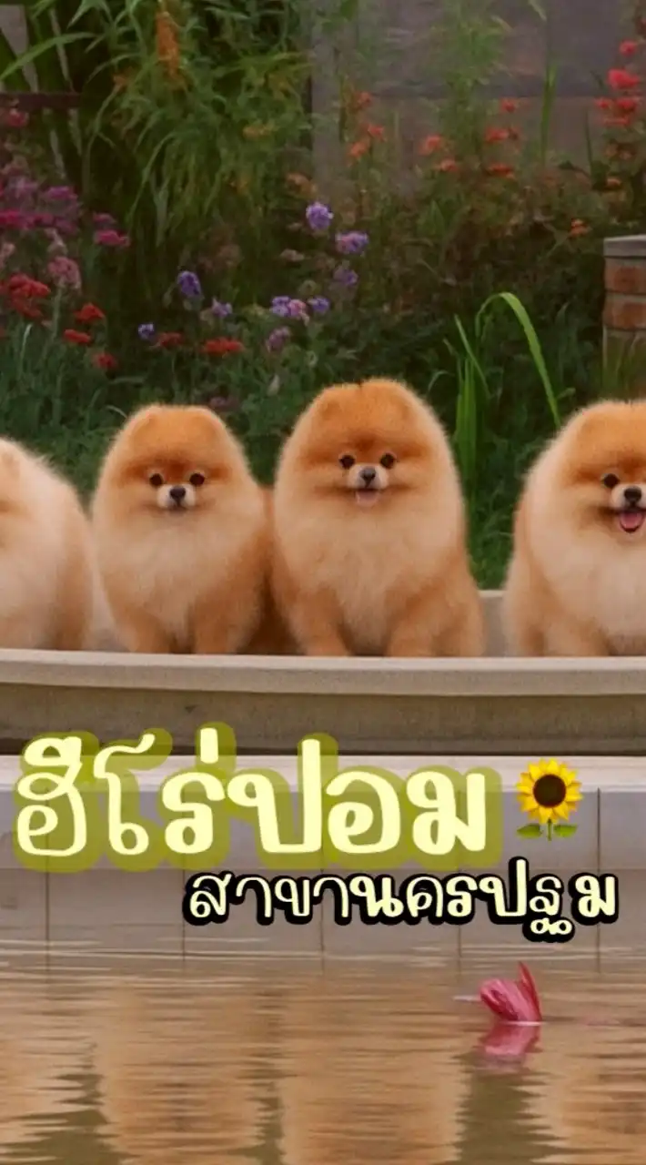 บ้านสวนฟาร์มนครปฐม