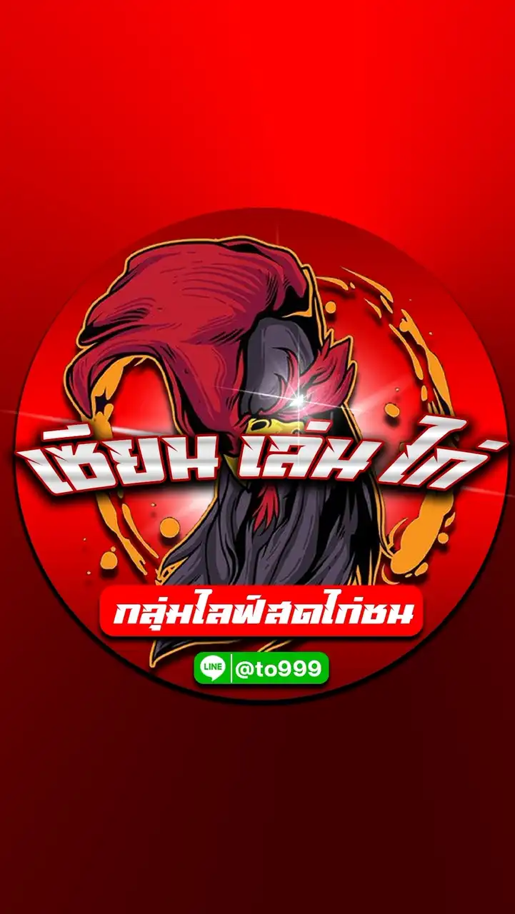 เซียน-เล่น-ไก่ ไลฟ์สดไก่ชนหลัก