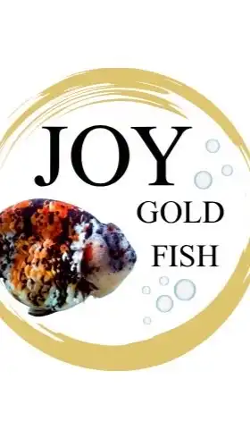 Joy goldfish