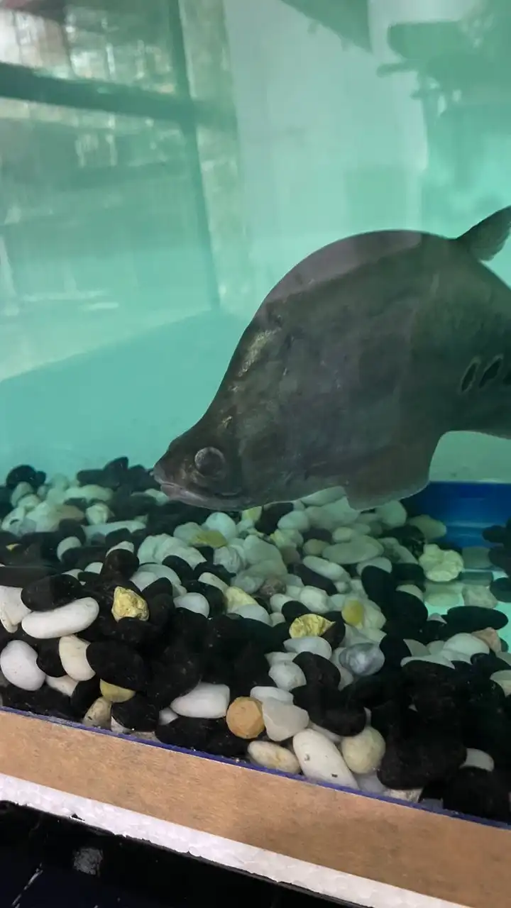 กลุ่มคุยเล่น🤑🤑🤑เล่นเกม