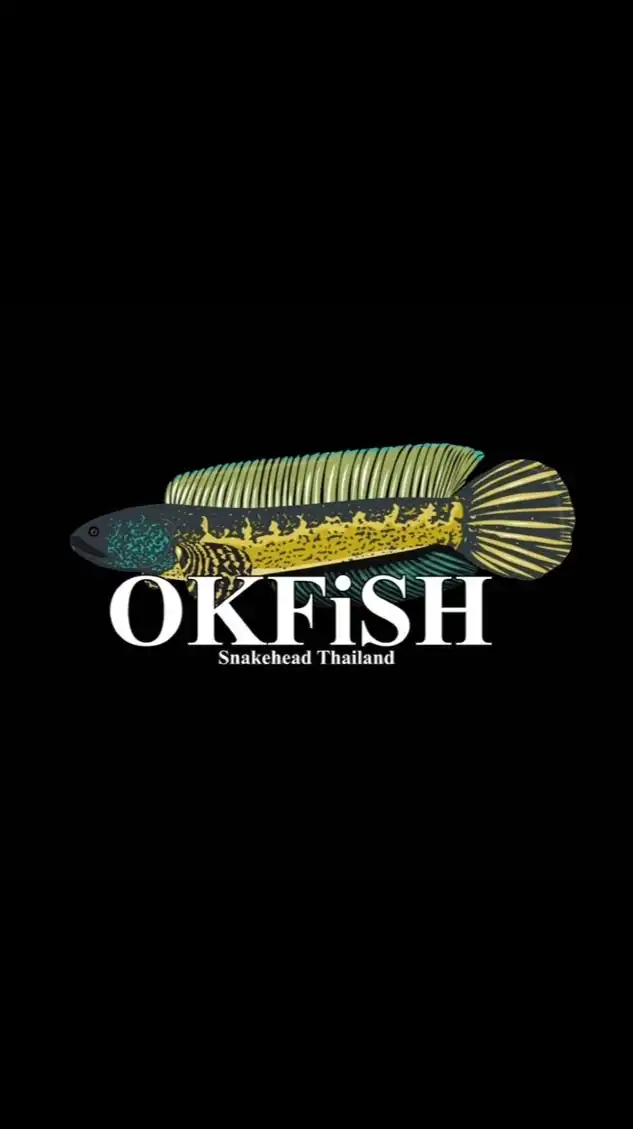 OKFish Smart Tank คนเลี้ยงปลาต้องรู้!