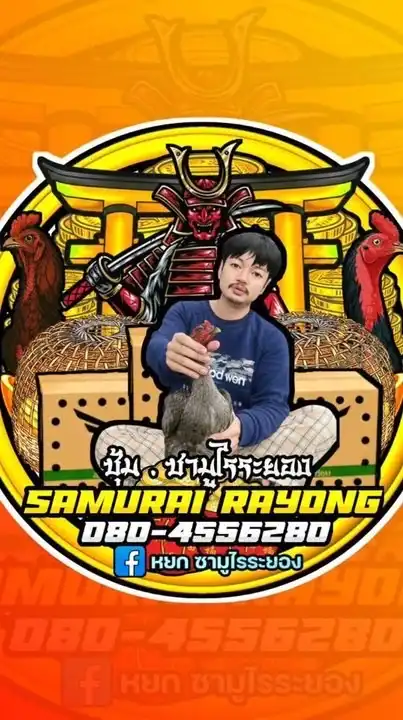 🇯🇵ซามูไรบ้านสวน(ตีเชิง)🇯🇵