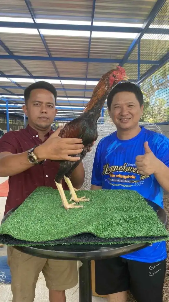 บังฟีน บางบาล