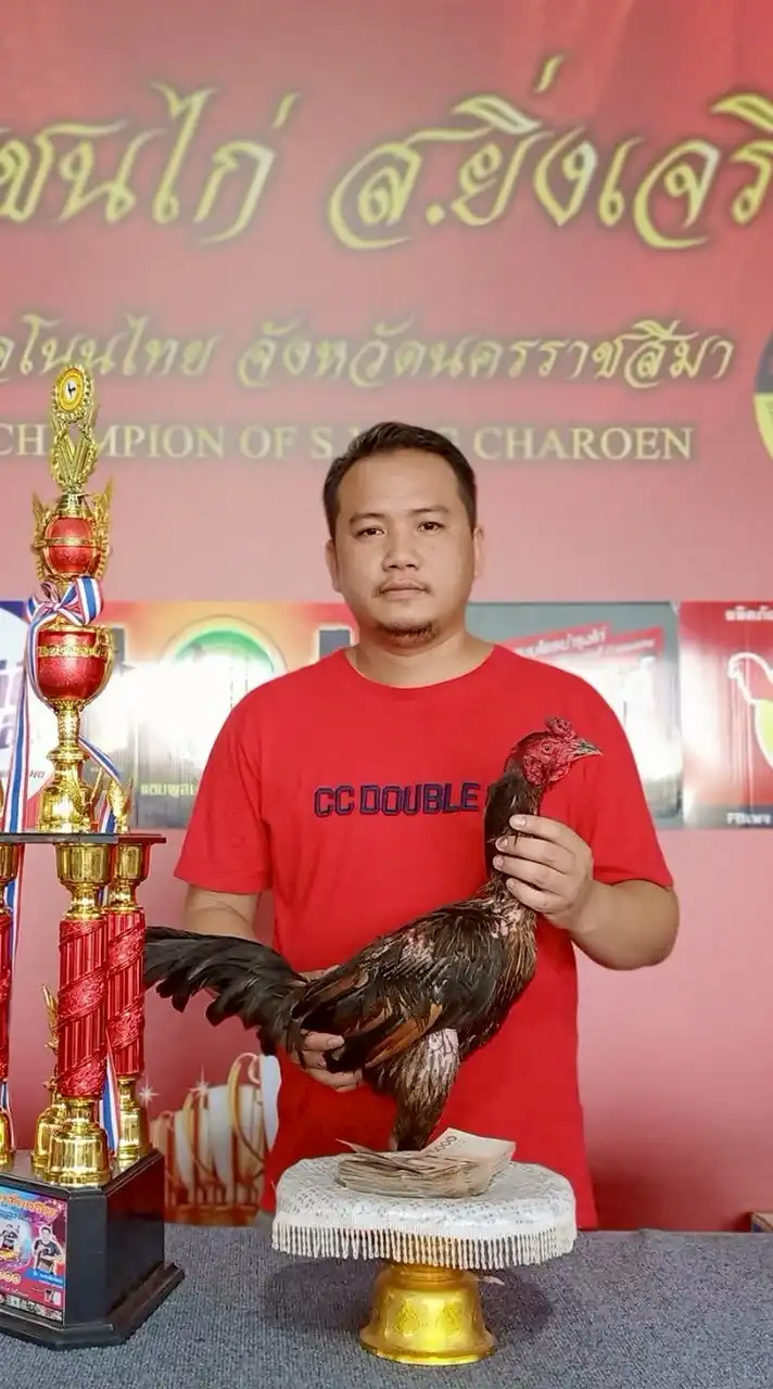 เพชรสังข์ทอง ชัยภูมิ