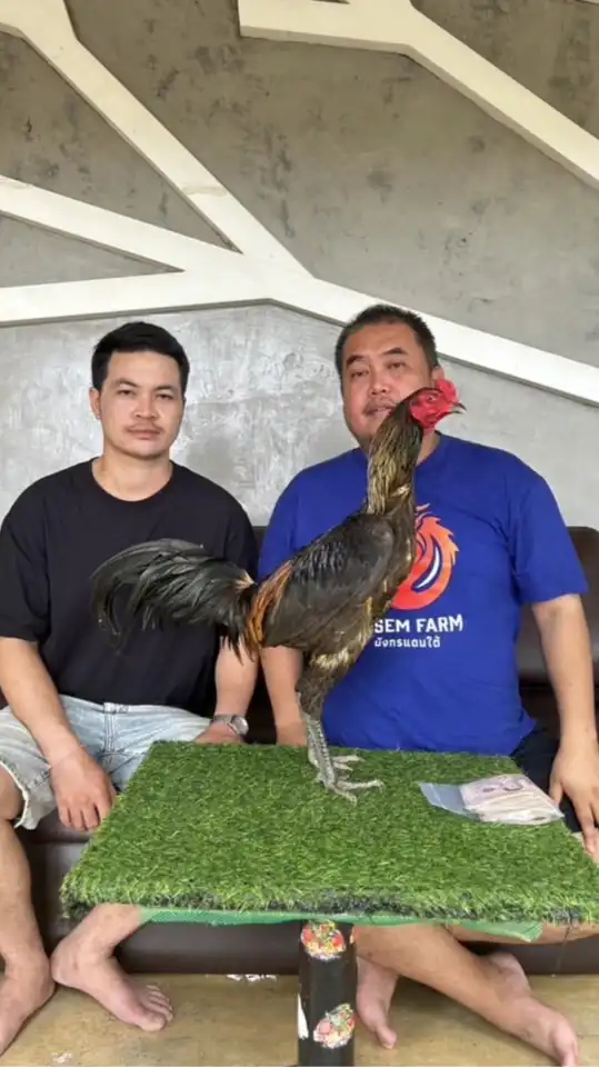 ตุ้ม.ต. สุดสาคร & มังกรบูรพา