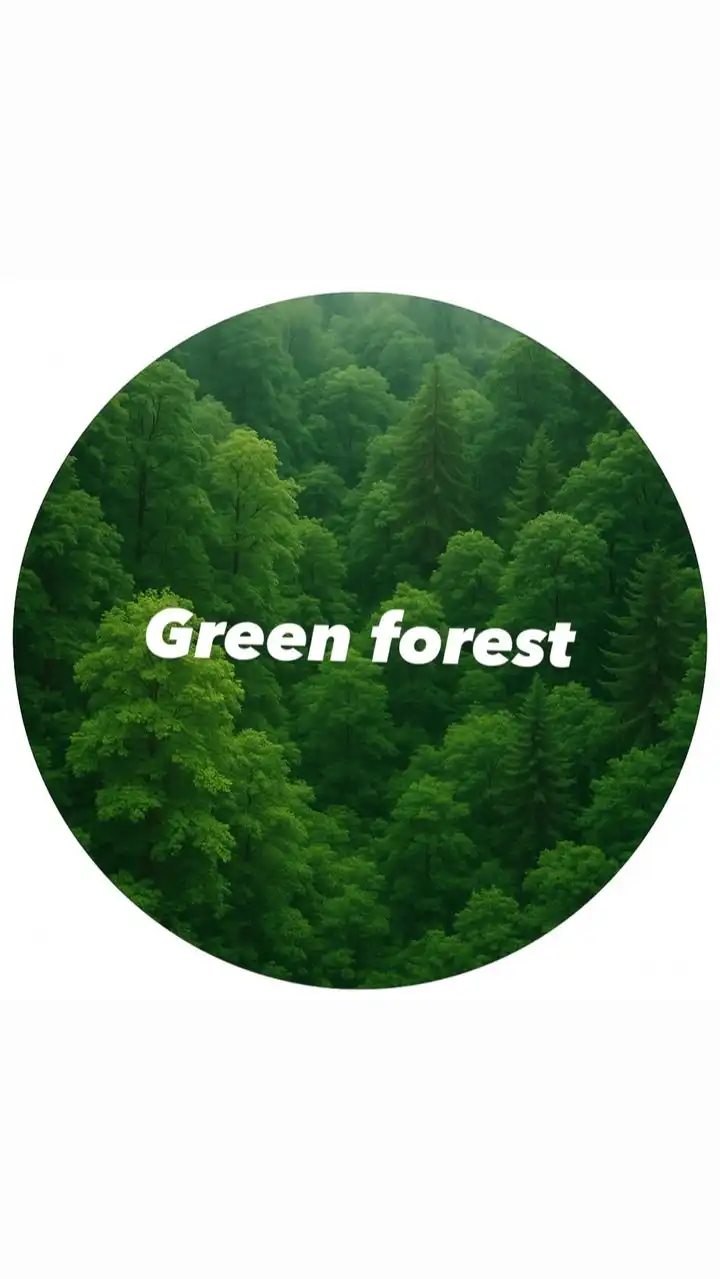 Green Forest 🌳 68