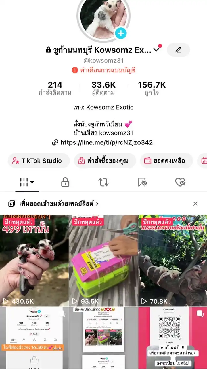 Kowsomz exotic ชูก้านนทบุรี