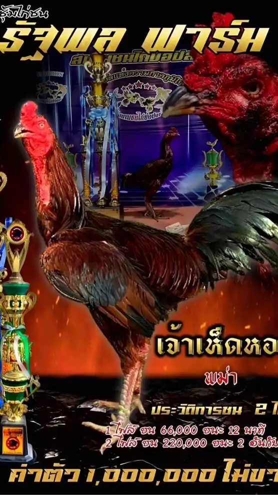 ซุ้ม  รัฐพลฟาร์ม เพชรบุรี🐓💯