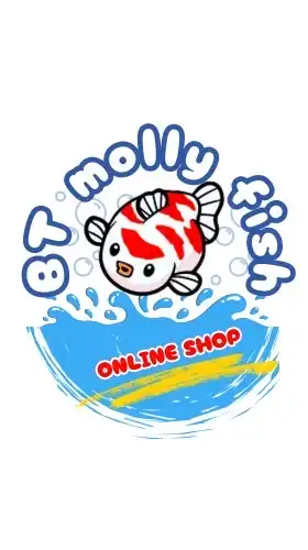 Molly Fish TH (แบ่งปันความรู้ และซื้อขาย)