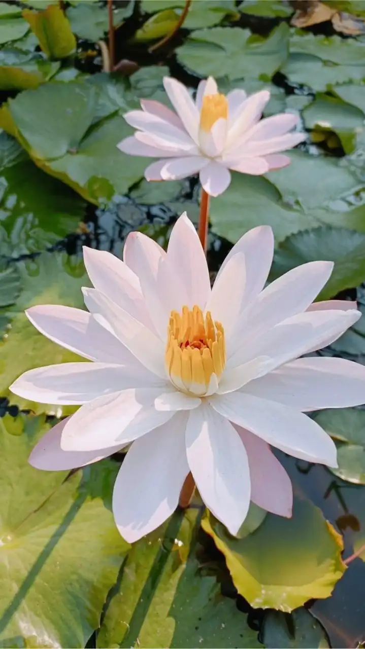 ธรรมะ ธรรมทาน/แรงบันดาลใจ/วิว ภาพสวยๆ...