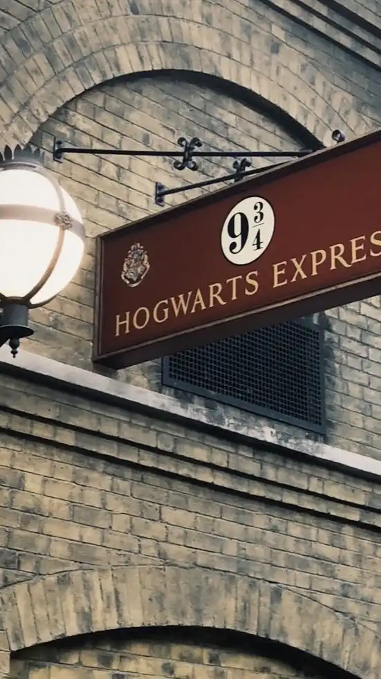 Harry Potter — [ official character / oc ]