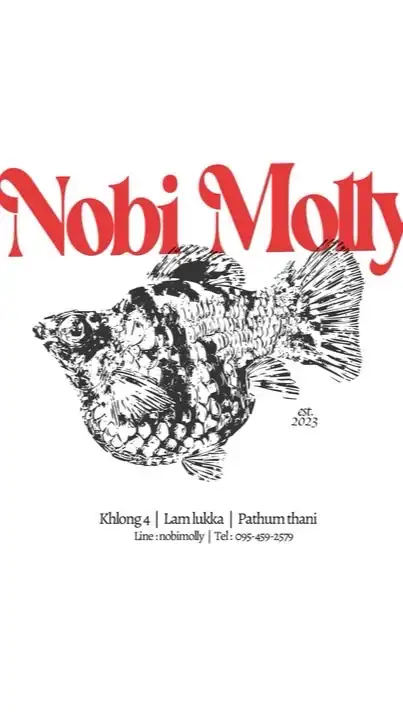 Nobi Molly