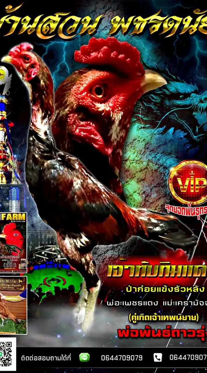 ซุ้ม บ้านสวน พชรดนัย ป่าก๋อยแข้งรัวหลัง
