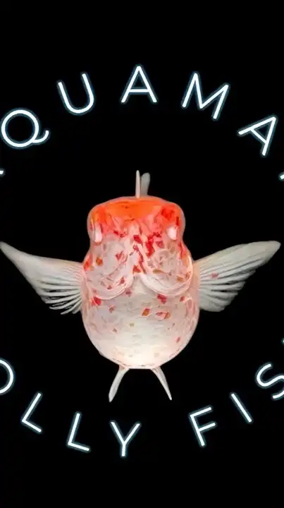 Aquaman molly fish