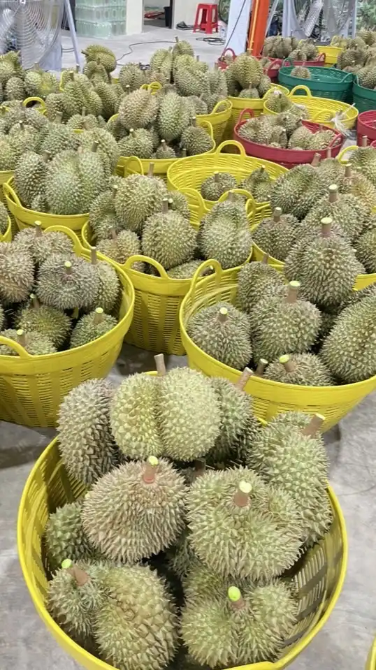 ฟาร์ม เฟรช ฟรุ๊ตส์(ทุเรียนคัดเกรดส่งออก)