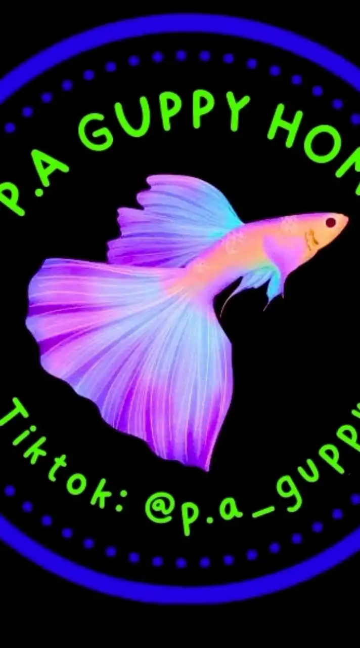 P.A GUPPY HOME ช่องหลัก