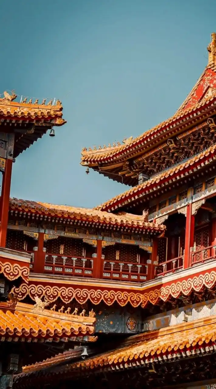 🐉༺♛⚜บัลลังก์รักแห่งต้าเยว่⚜♛༻⚔𝐂𝐫𝐨𝐰𝐧 𝐁𝐞𝐧𝐞𝐚𝐭𝐡 𝐓𝐡𝐞 𝐌𝐨𝐨𝐧🌙