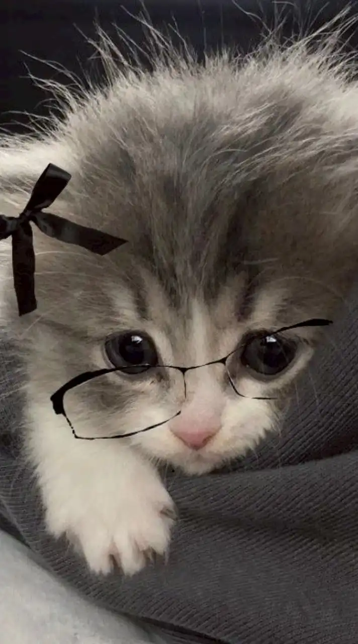 ˚₊·͟͟͟͟͟͟͞͞͞͞͞͞➳❥⌨✰โรงเรียนอิโยมิ(イヤミ) ೃ࿔₊•