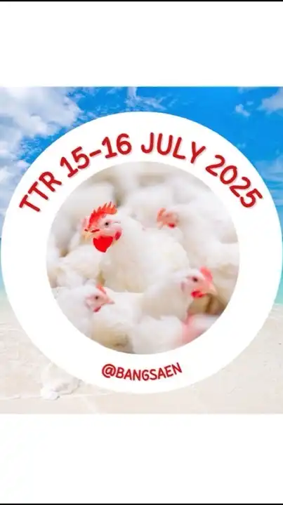 TTR 15-16 July 2025