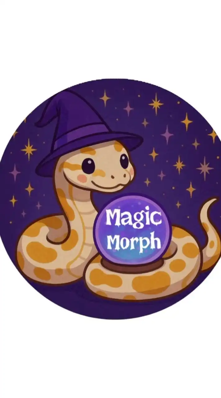 Magic Morph Ball python