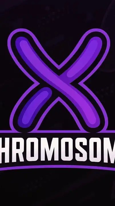Chromosome XY