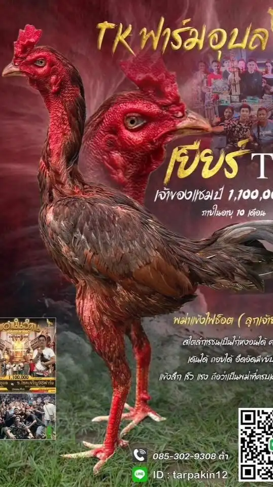 ทีเคฟาร์มอุบล กลุ่ม5