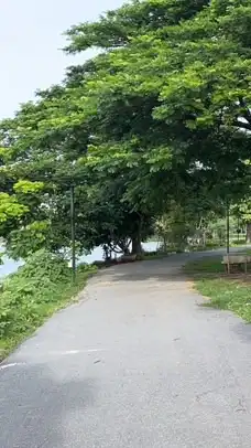 ตลาดนัดจนท.รพ.สค.20250724