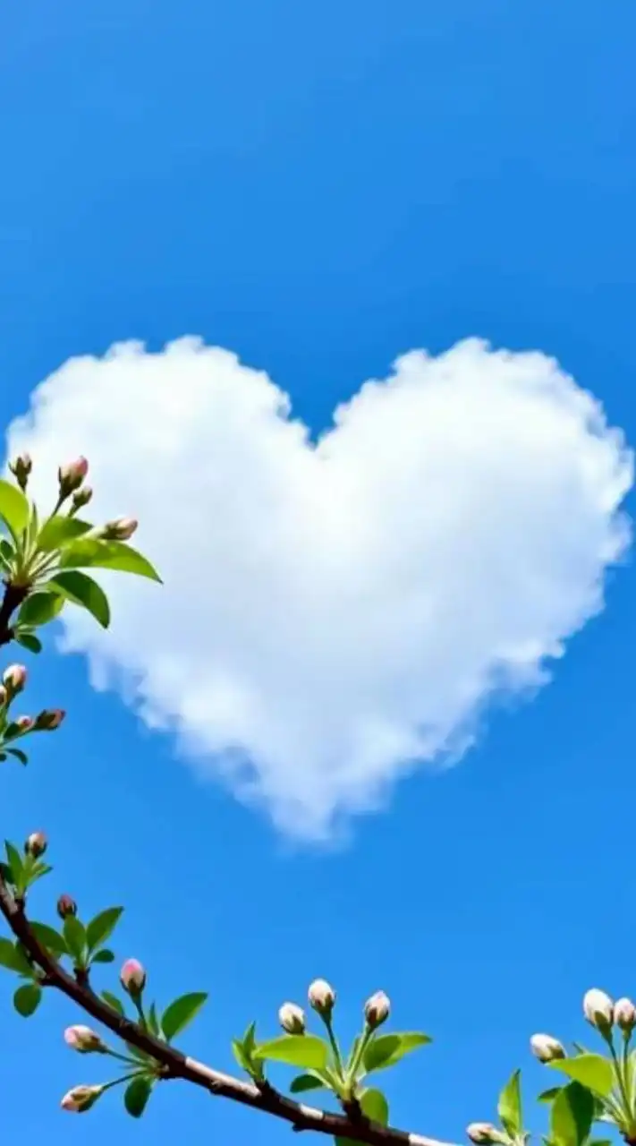 💥แคปชั่น🌿💥สาระดีๆคำคม),🌿30+เพลง🎉.・。.・゜✭・.・✫・゜・。.