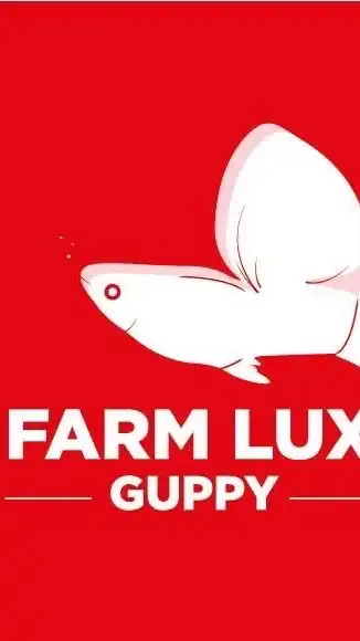 Farmlux.Molly ❤️🐠