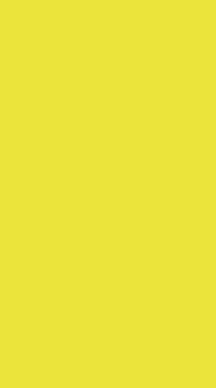 สีเหลืองปี68