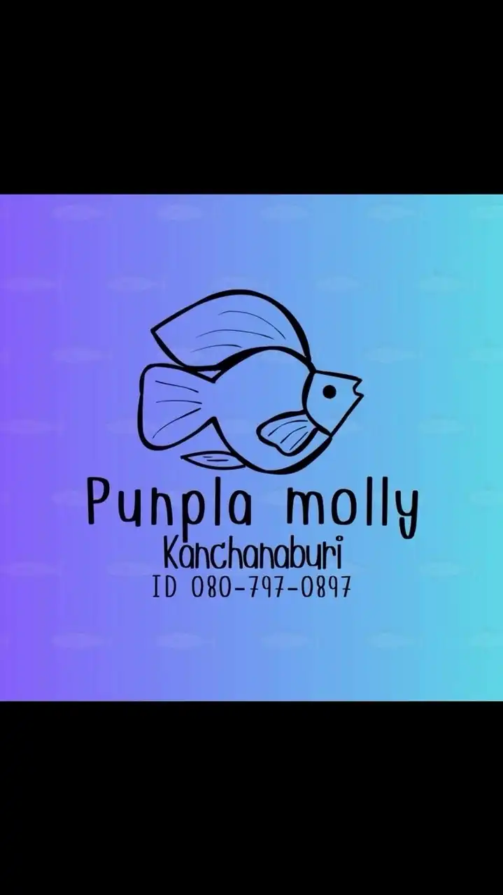 Punpla Molly Kanchanaburi