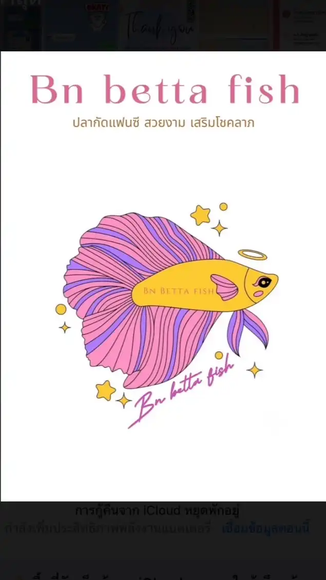 Bn betta fish