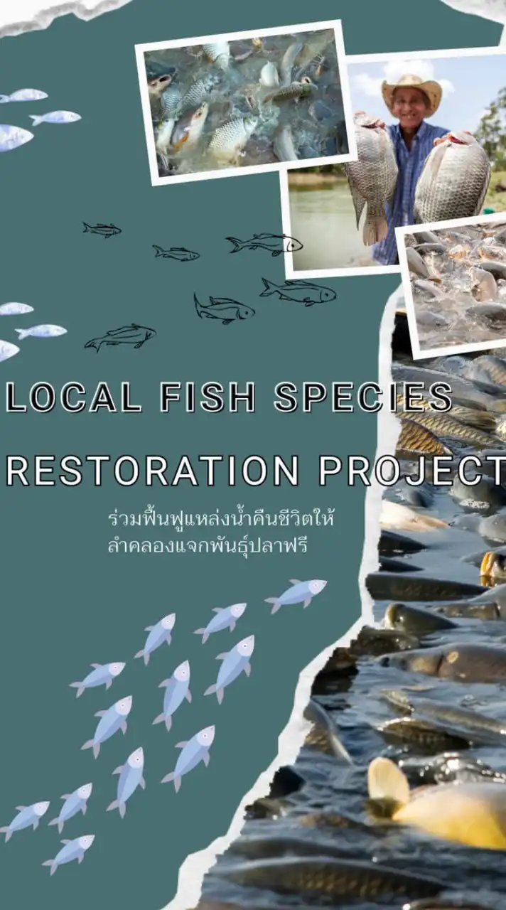 Local fish species restoration project