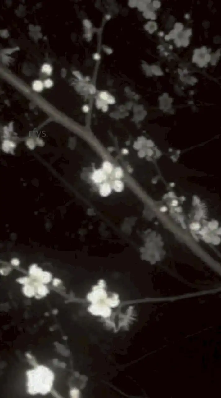 𝚁𝚘𝚖𝚊𝚗𝚝𝚑𝚊𝚞𝚜 𝙰𝚌𝚊𝚍𝚎𝚖𝚢                 ((บอท / เมจ))