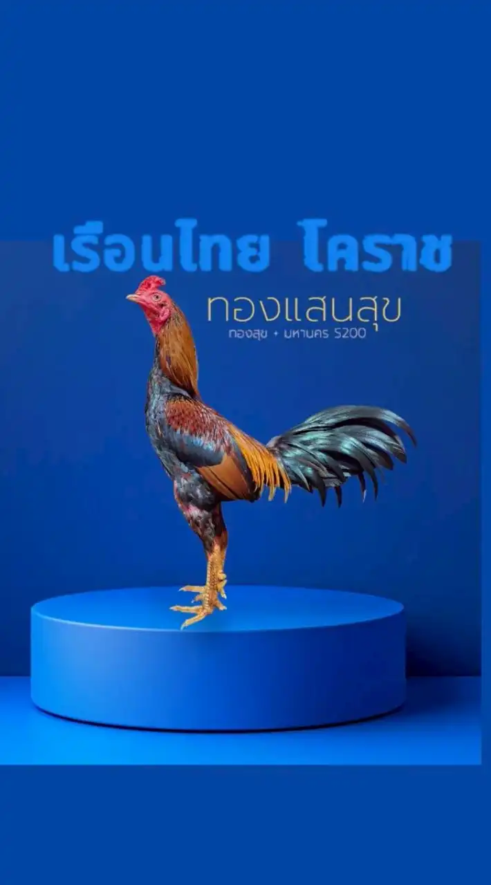 เรือนไทยโคราช 4