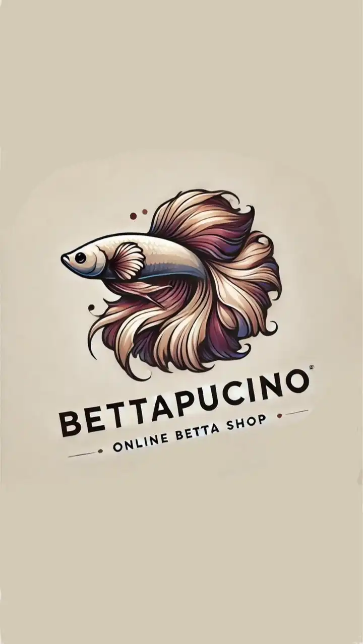 Betta Pucino