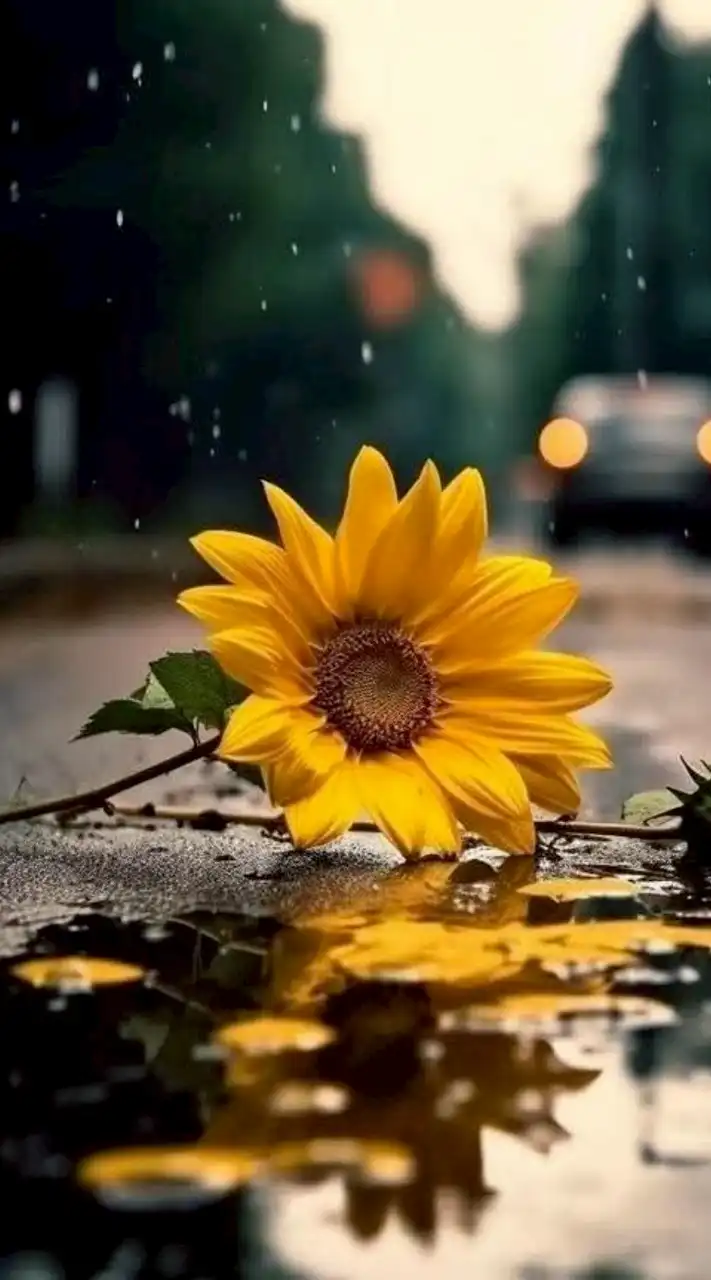 💞รักแท้.หรือ.แค่เหงา💞โสด เหงา เศร้าเข้ามาคุยยกัน..น๊าา🥰35+