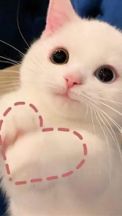 ♡ ตัวแทน ร้ายมายด์♡