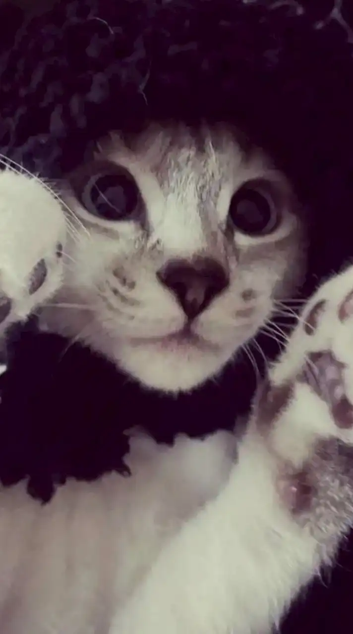 ♯ คุยเล่น / หาเพื่อน / หาแฟน / เล่นเกม ♬