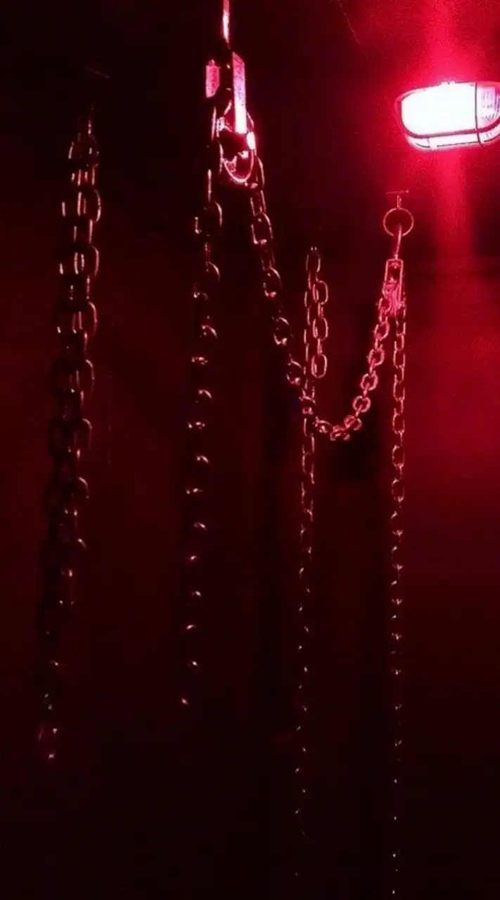 RP🔞 | 老板 ×宠物  ┇SM 18+