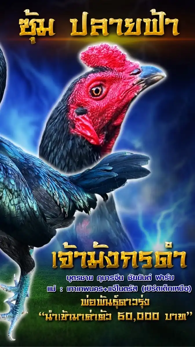 ปลายฟ้า 🀄️