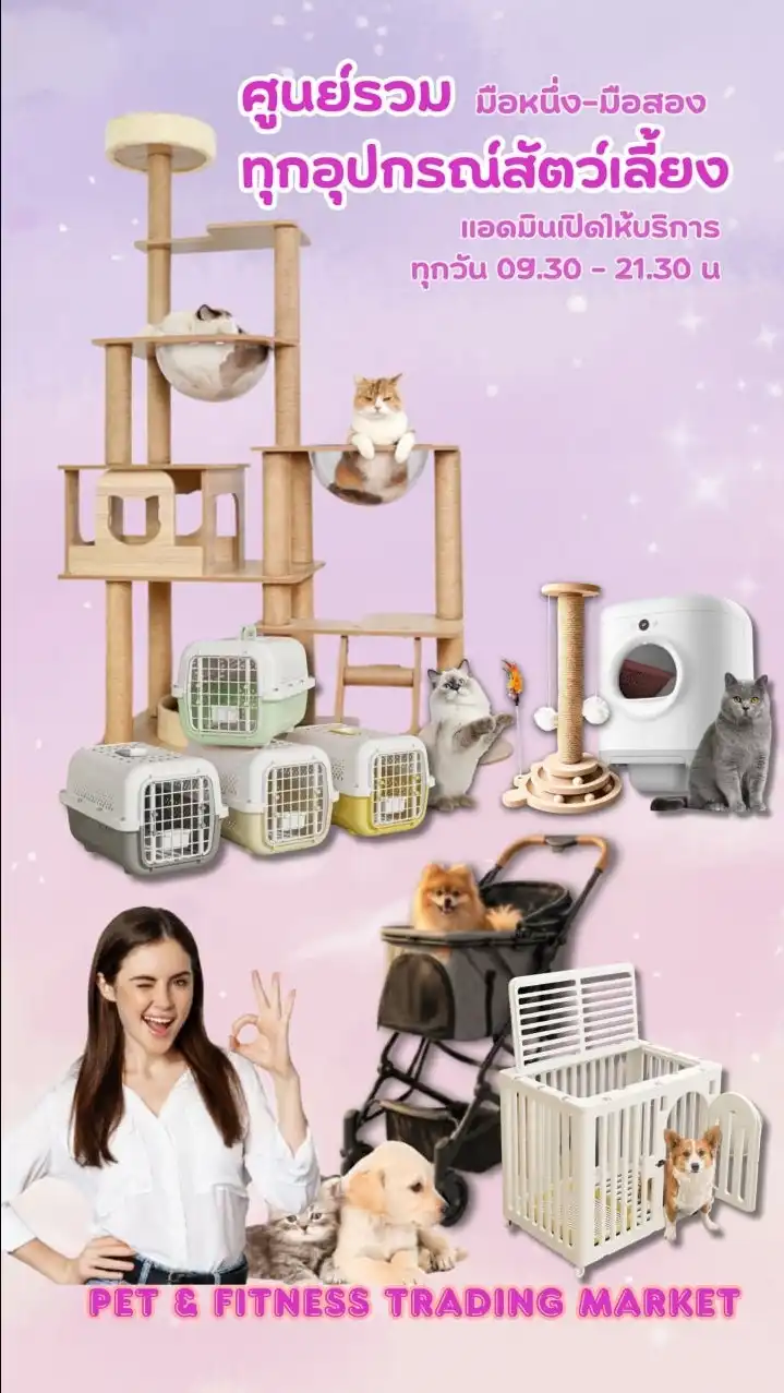 Pet Accessories Marketplace