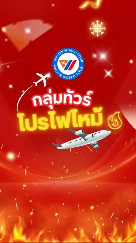โปรไฟไหม้  Winter World Tour